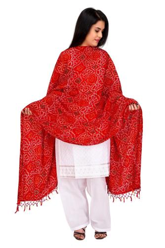 Foulard indien pour Femme (6 coloris)