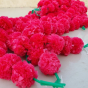Lot de 5 Guirlandes de rose d'Inde (7 Coloris) Couleur : Rose Fuchsia (En cours de réapprovisionnement)